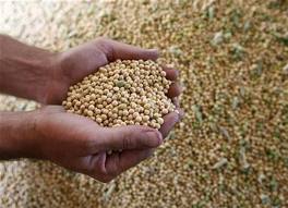  Disperta Jabar Sarankan Petani Bisnis Benih Kedelai