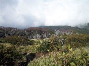  Aktivitas Naik, Gunung Slamet Masih Waspada