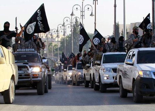  Aher Minta Isu ISIS di Jawa Barat Tak Perlu Dibesar-besarkan. Kenapa?