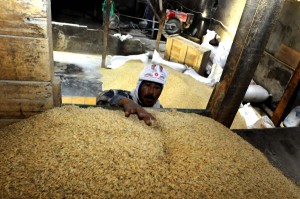  Harga Gabah Kering Panen Jabar Turun 5,71% pada Maret 2015