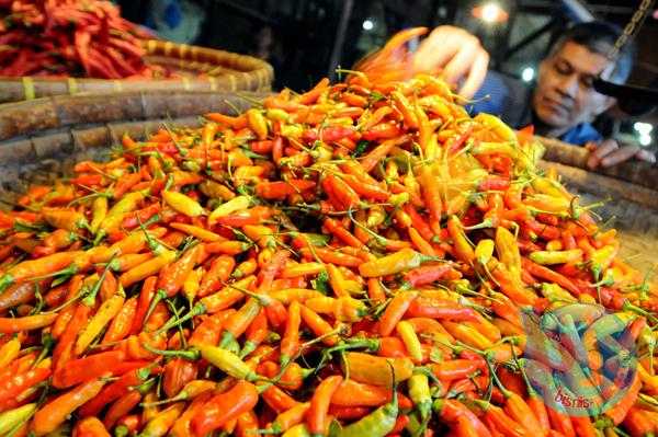  Harga Cabai Merah Keriting dan Bawang Putih Terus Merambat Naik