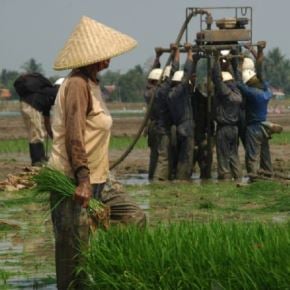  Pertamina EP: Pengeboran Survei 3D Berbeda dengan Eksplorasi Migas