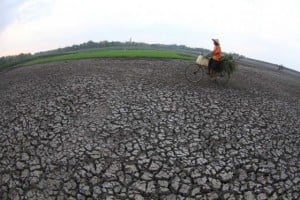  70% Tanah di Indonesia Ternyata Tak Subur