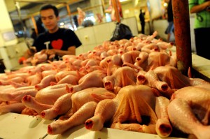  Jelang Ramadan, Stok Daging Ayam di Jabar Surplus