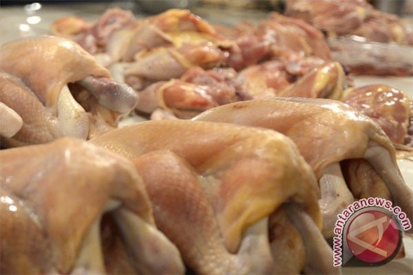  Stok Minim, Harga Daging Ayam Terkerek