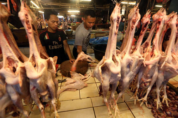  FOTO: Jelang Puasa Harga Daging Ayam Naik