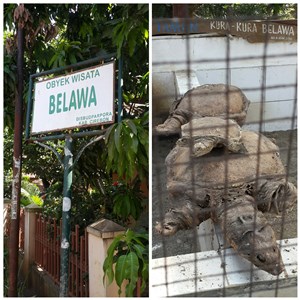  Obyek Wisata Cikuya Belawa Kabupaten Cirebon Makin Prihatin