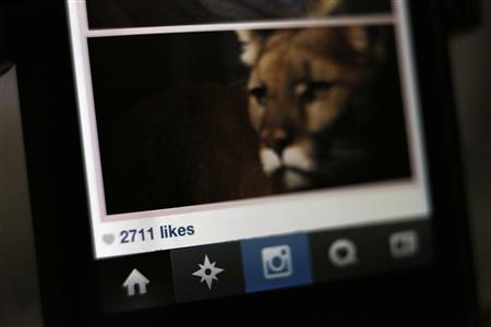  Ingin Akun Instagram Terkenal? Begini Caranya