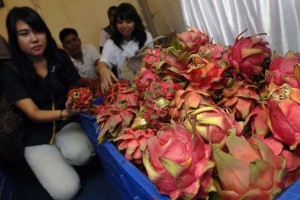  Dapatkan Manfaat Kesehatan dari Buah Naga