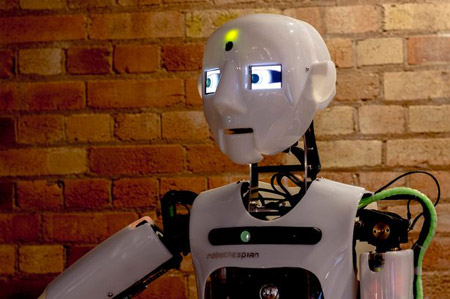 Humanoid Robot / mirror.co.uk