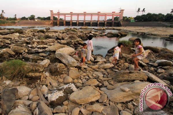  Kemarau, Sungai Cisadane Mengering