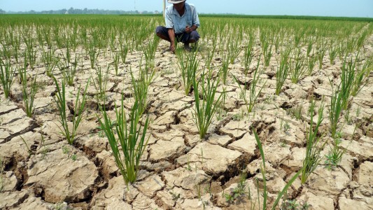  Kekeringan Landa 102 Daerah di Indonesia