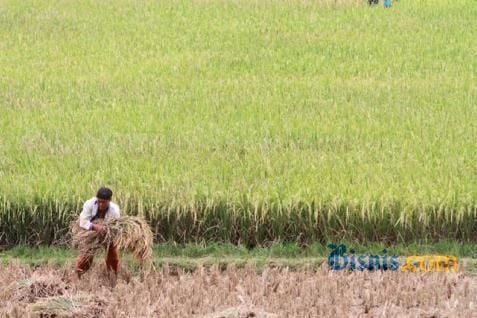  Nilai Tukar Petani Jabar Naik 1,06%