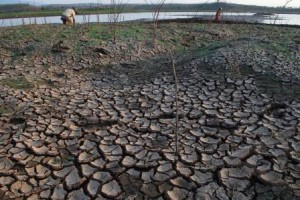  Sawah Kekeringan, Petani di Bandung Barat Terpaksa Ambil Air Sungai Citarum