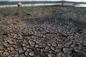  Tanggulangi Kekeringan, Pemkab Indramayu Butuh Dana Rp90 Miliar