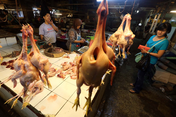  FOTO: Kembali Berjualan, Harga Daging Ayam Masih Tinggi