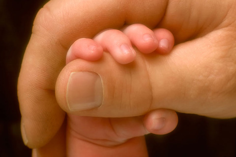  Astaga! Tikus Makan Bayi Baru Lahir Hingga Tewas