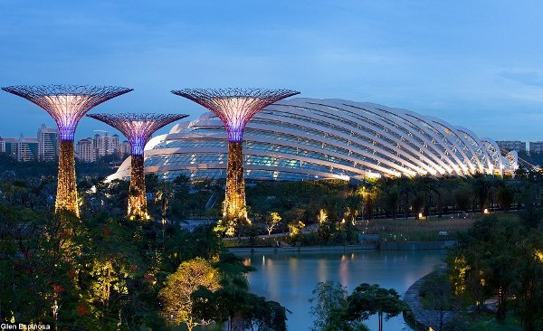  Menjelajahi Gardens By The Bay, Hutan Pandora Ala Singapura