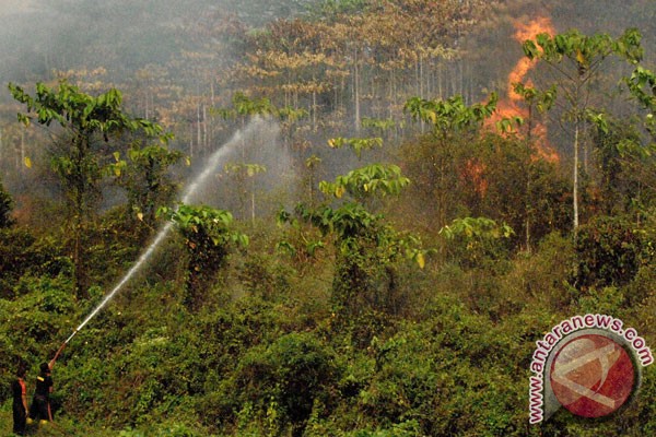  Kebakaran Hutan, Aher Minta Pembersihan Lahan Tidak Gunakan Api