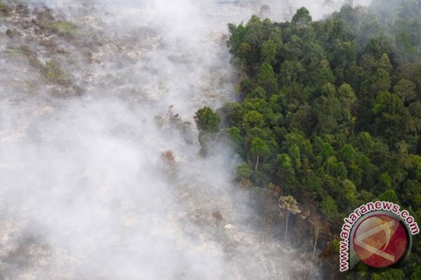  KABUT ASAP: Dalam Sehari, Titik Api di Sumatera Bertambah 244 Titik