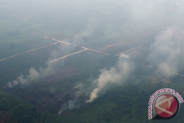  KEBAKARAN HUTAN: Kabut Asap Masuki Singapura dan Kalimantan