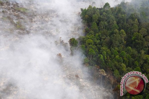  Singapura Siapkan Sanksi Bagi Perusahaan Yang Terlibat Pembakaran Hutan