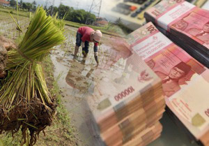  Dana Hibah Rp50 Miliar Untuk Petani Malah Jadi Silpa