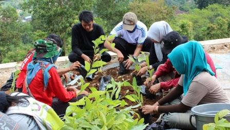  Holcim Reklamasi Lokasi Bekas Tambang Pasir Silika