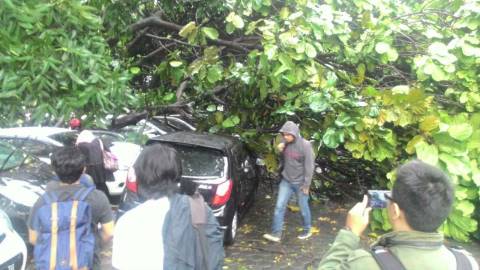  Hujan Angin, 5 Mobil di Jalan Ganesha Bandung Tertimpa Pohon Besar