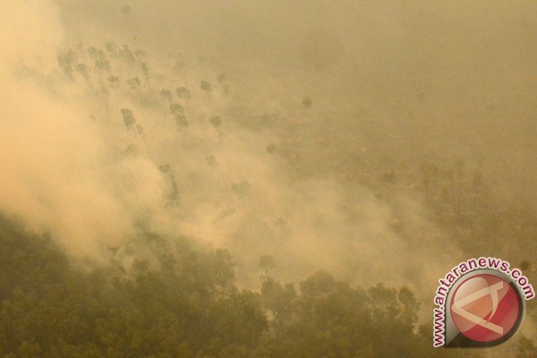  KEBAKARAN HUTAN: 12 Perusahaan Ditetapkan Sebagai Tersangka