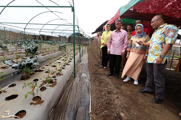  FOTO: Kembangkan Klaster di Lembang, BI Jabar Dorong Kontinuitas Produk Pertanian