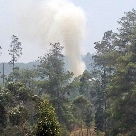  Asap Putih Mengepul di Hutan Gunung Putri Dekat Jayagiri Lembang