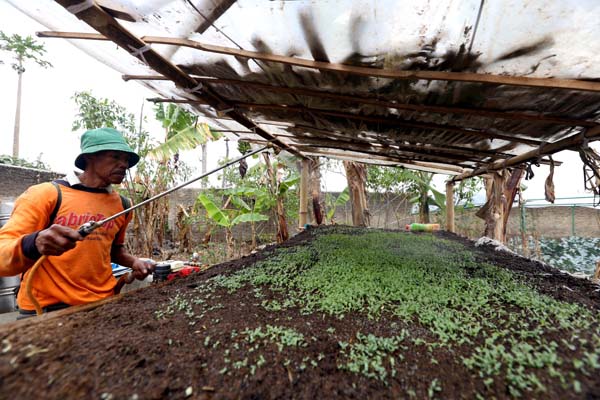  FOTO: Kementan: Petani Bisa Manfaatkan Potongan Bunga KUR