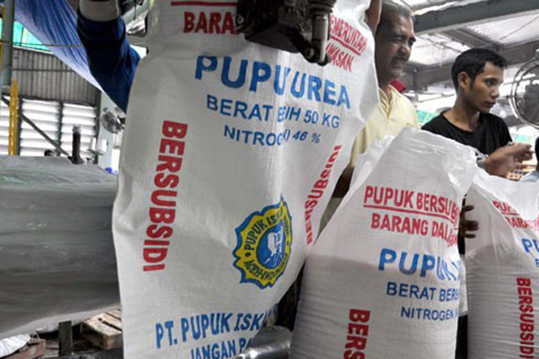  Musim Hujan, Pemerintah Diminta Perketat Pengawasan Pupuk Bersubsidi