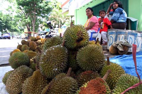  PTPN VIII Andalkan Buah Hortikultura Sebagai Penopang Pendapatan