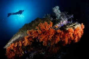  SAR Hentikan Operasi Pencarian Wisatawan Tenggelam di Raja Ampat