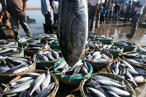  Jabar Siap Kelola Pelabuhan Perikanan