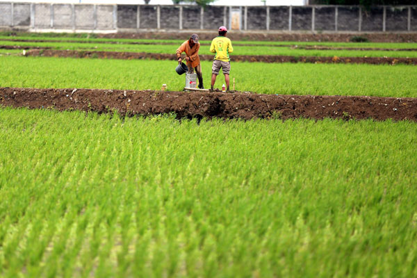  FOTO: Bulog Akui Gagal Capai Target Penyerapan Beras