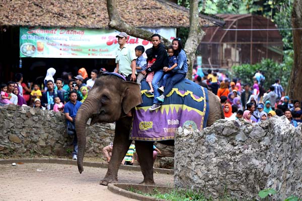  FOTO: Libur Natal dan Tahun Baru, Pengunjung Bonbin Bandung Melonjak
