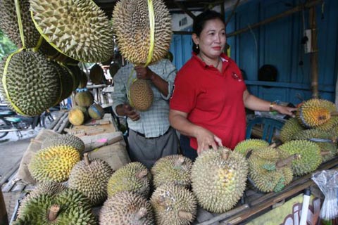  Bentuk Unik & Rasa Khas Durian Pelangi Manokwari