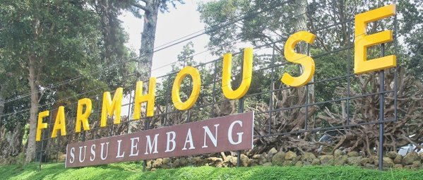  Libur Panjang, Wisata di Lembang dan Mal Jadi Tujuan