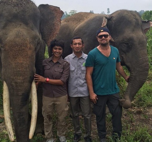  Leonardo DiCaprio Kunjungi Aceh