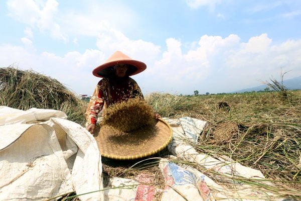  FOTO: Nilai Tukar Petani Jabar Turun 1,47%