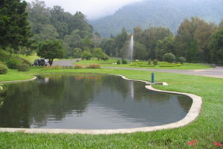  Ada Taman Tematik Baru di Kebun Raya Cibodas