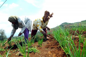  Kementan Cetak Pengusaha Muda Agribisnis