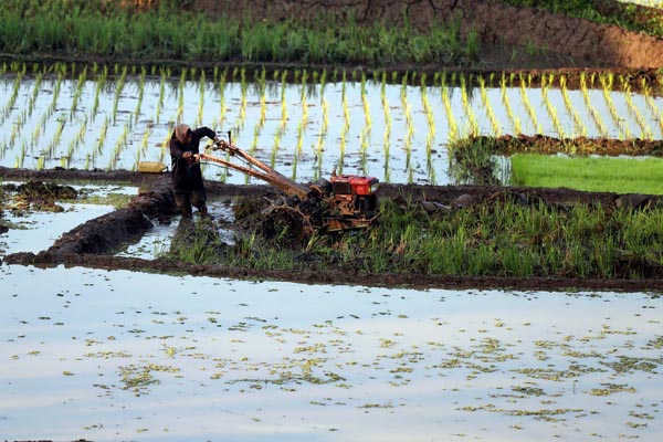  FOTO: INKLUSI KEUANGAN : Membuka Akses untuk Petani