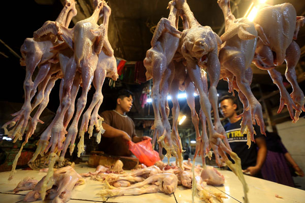  FOTO: Harga Daging Ayam Tidak Akan Terlalu Tinggi Selama Ramadan