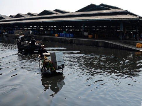  Ahok: Banjir Rob Bukan Akibat reklamasi