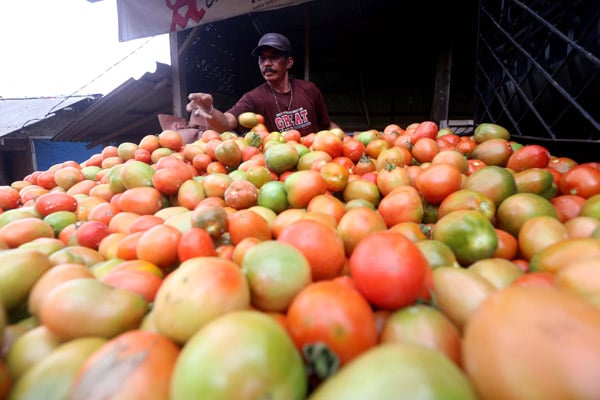  FOTO: Jabar Pacu Klaster Hortikultura