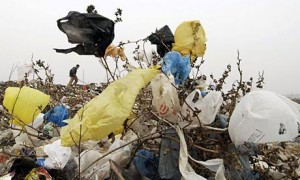  Pemerintah Segera Pungut Cukai Kantung Plastik?